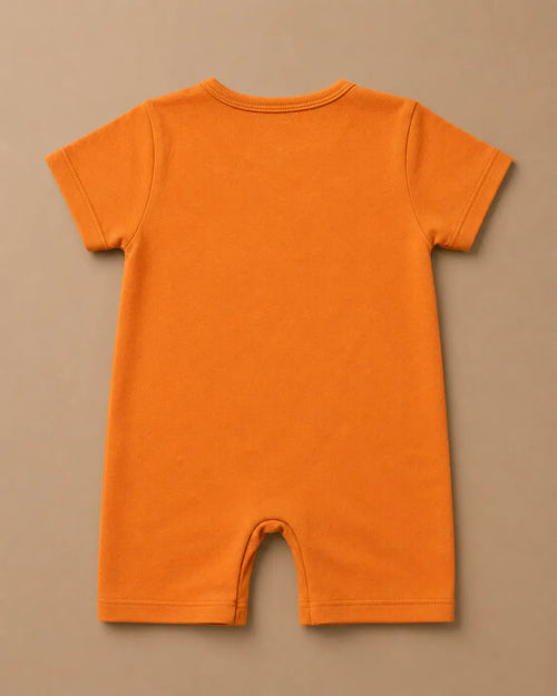 Bodysuits for Baby Boys – IBN